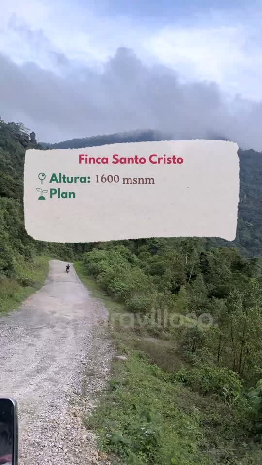 Ficha de finca con altitud y producción
